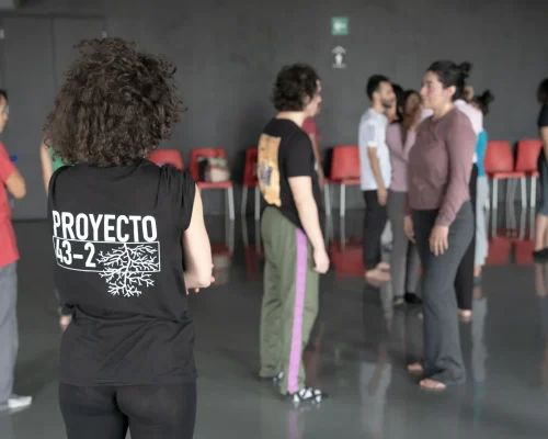 Mediación cultural Proyecto 43-2